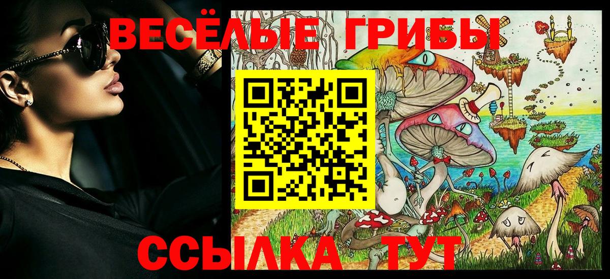 Псилоцибиновые грибы Psilocybine cubensis Магадан